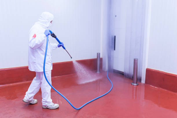 Professional Pressure Washing in Jensen Beach, FL